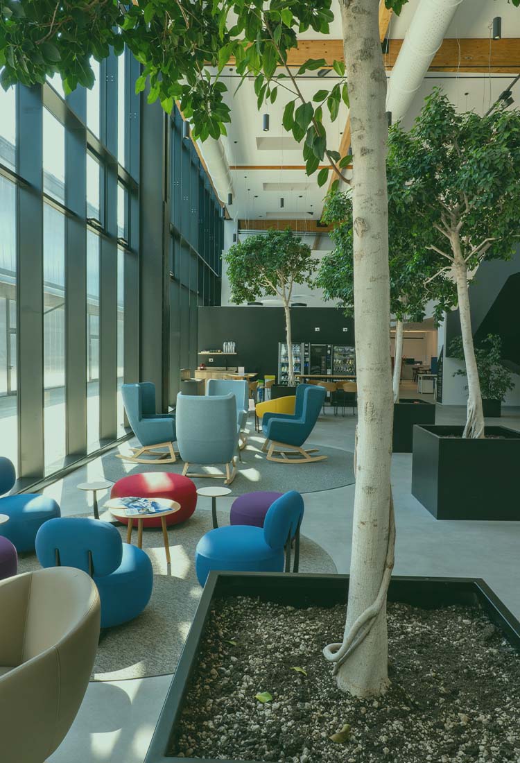 Espace de détente arboré à l'intérieur du siège FAAC, avec grandes baies vitrées et fauteuils colorés